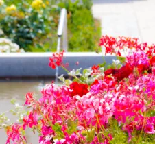 GaLaBau - Privater Hausgarten - HAUN Landshut - Foto © HAUN