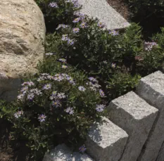 Öffentliche Gartenanlagen - Gewerbeanlagen - Foto © UP - www.peppUP.de