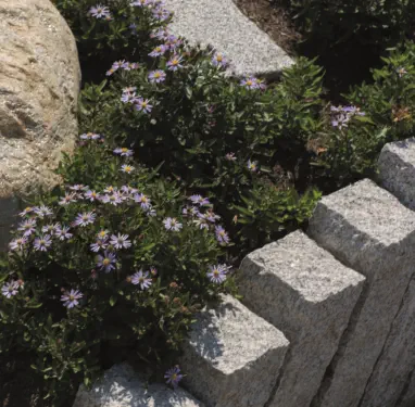 Öffentliche Gartenanlagen - Gewerbeanlagen - Foto © UP - www.peppUP.de