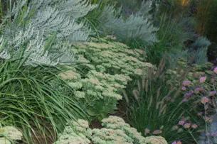 Stauden Landshut - Foto © Benshot - Adobe Stock