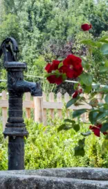 Pflanzungen & Rasen in Landshut - Foto © HAUN