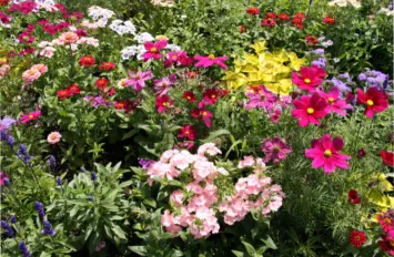 Stauden Landshut - Foto © Benshot - Adobe Stock