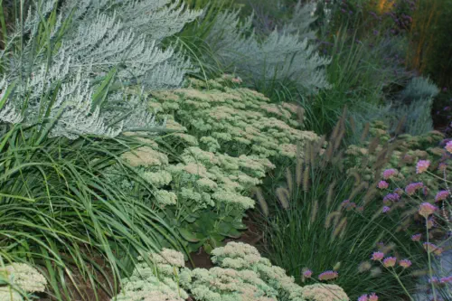 Hangbepflanzungen Landshut